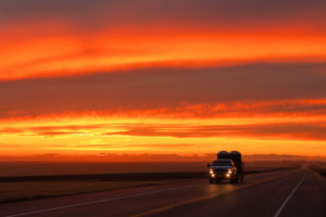 ロイヤルティレル恐竜博物館の帰り