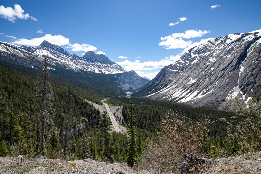 アイスフィールドパークウェイのビッグ・ヒル展望台から見下ろすノース・サスカチュワン川の渓谷