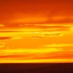 ロイヤル・ティレル古生物博物館の旅