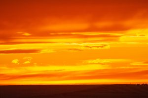 ロイヤル・ティレル古生物博物館の旅