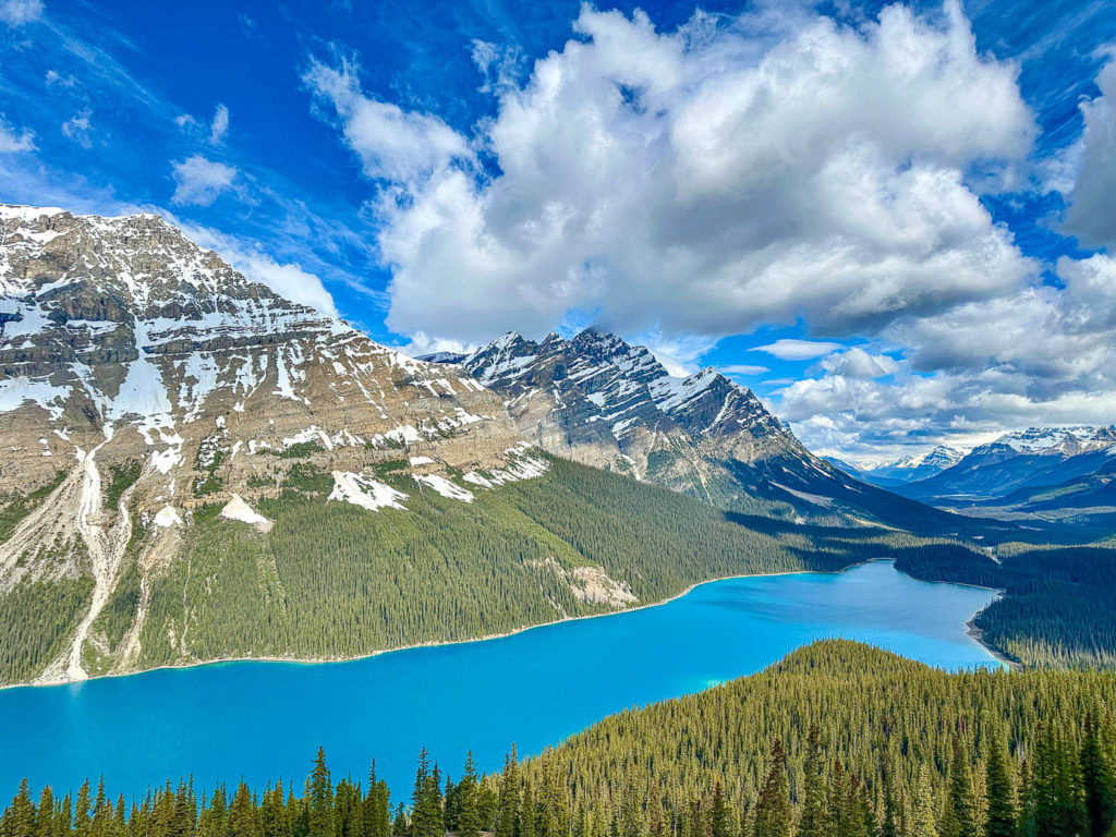 アイスフィールドパークウェイのペイトー湖と鮮やかなターコイズブルーの絶景