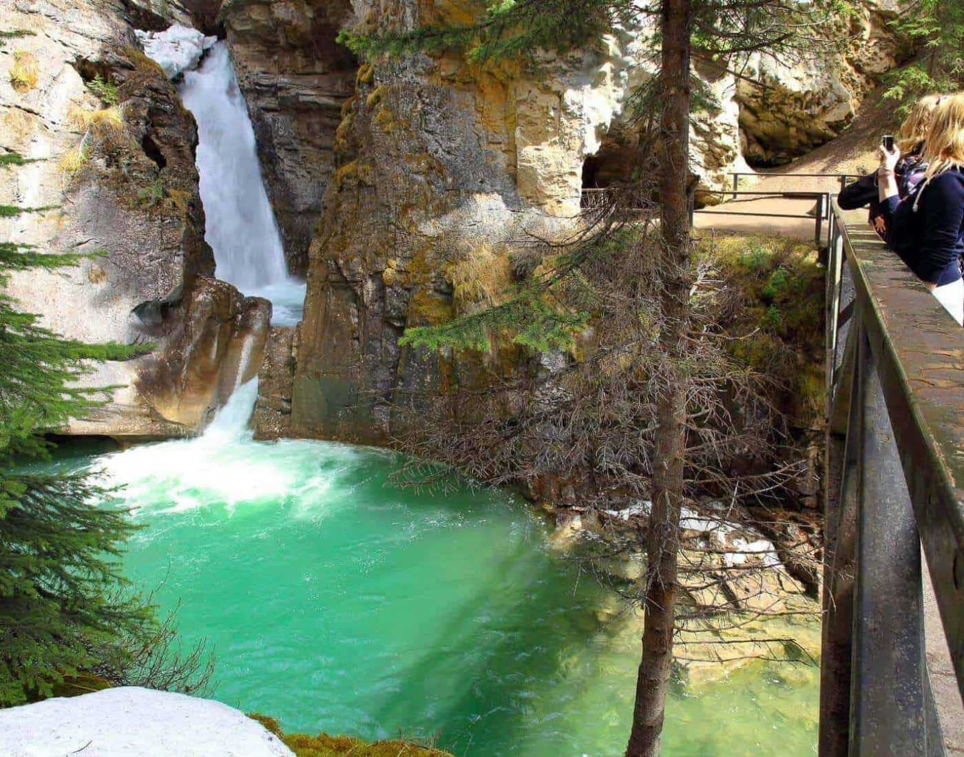バンフ国立公園のジョンストンキャニオンを散策する観光客。2026年新ツアー、ジョンストン渓谷とヨーホー国立公園の1日観光